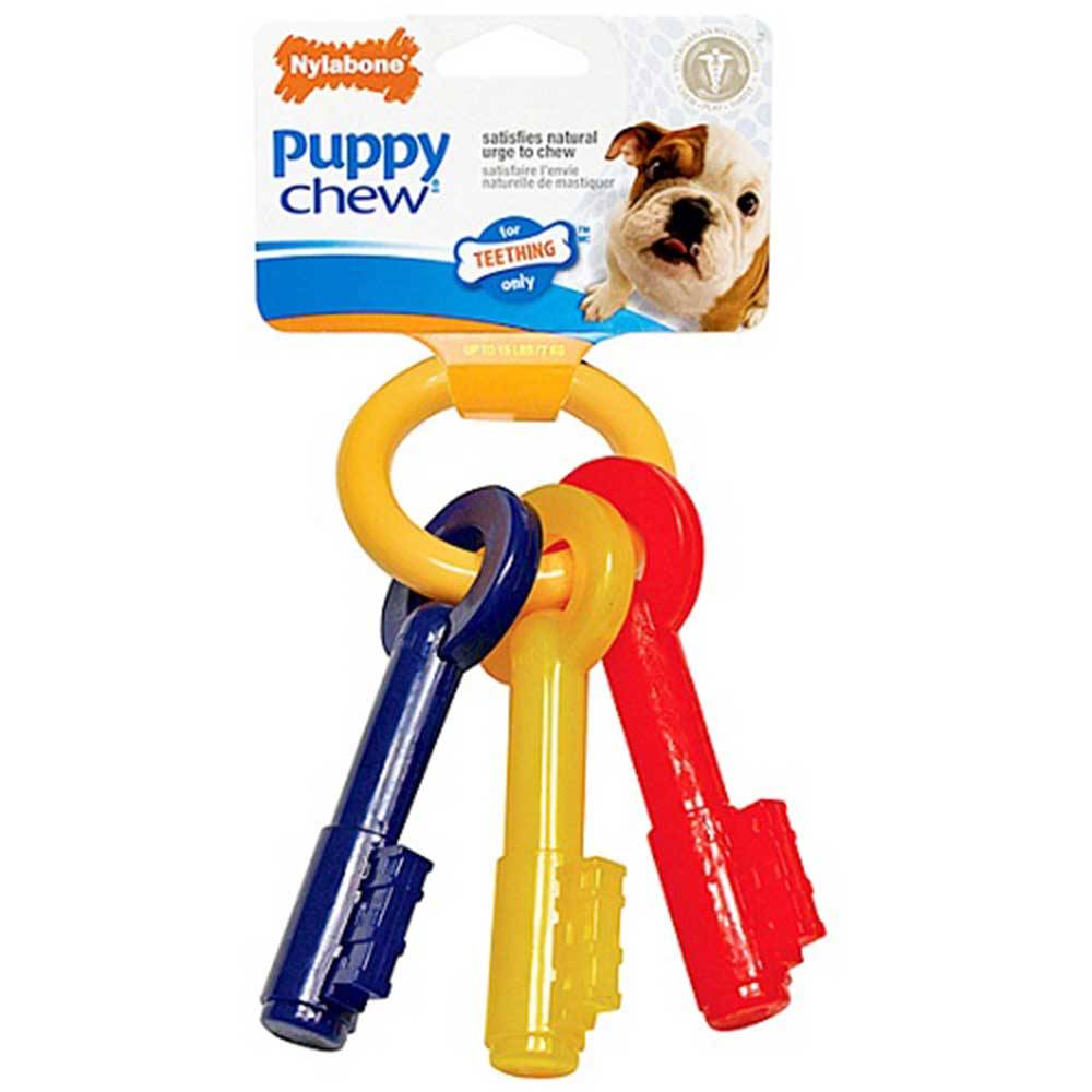 Nylabone Puppy Chew Keys For Teething