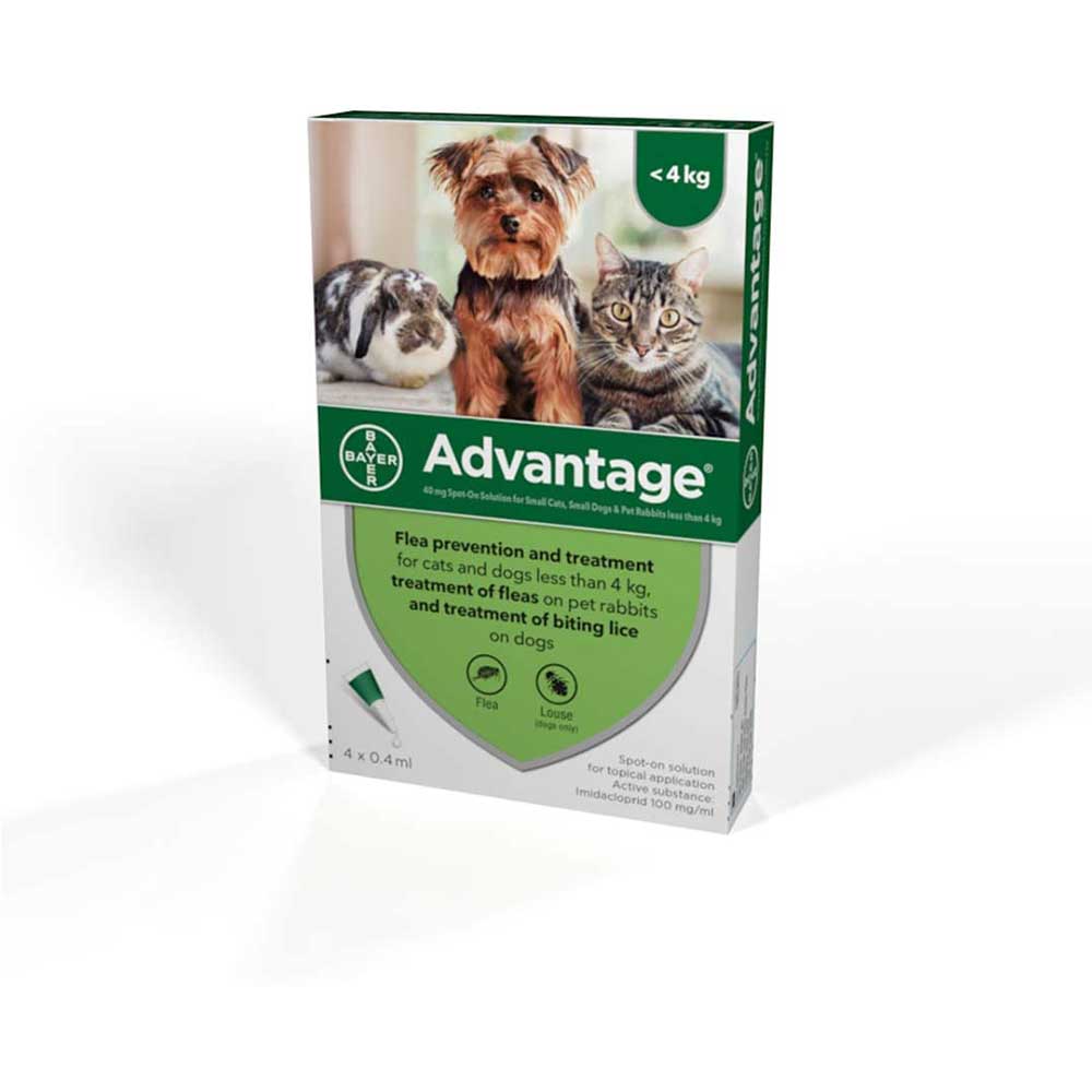 Advantage Green Small Dog/Cat < 4Kg 4Pk