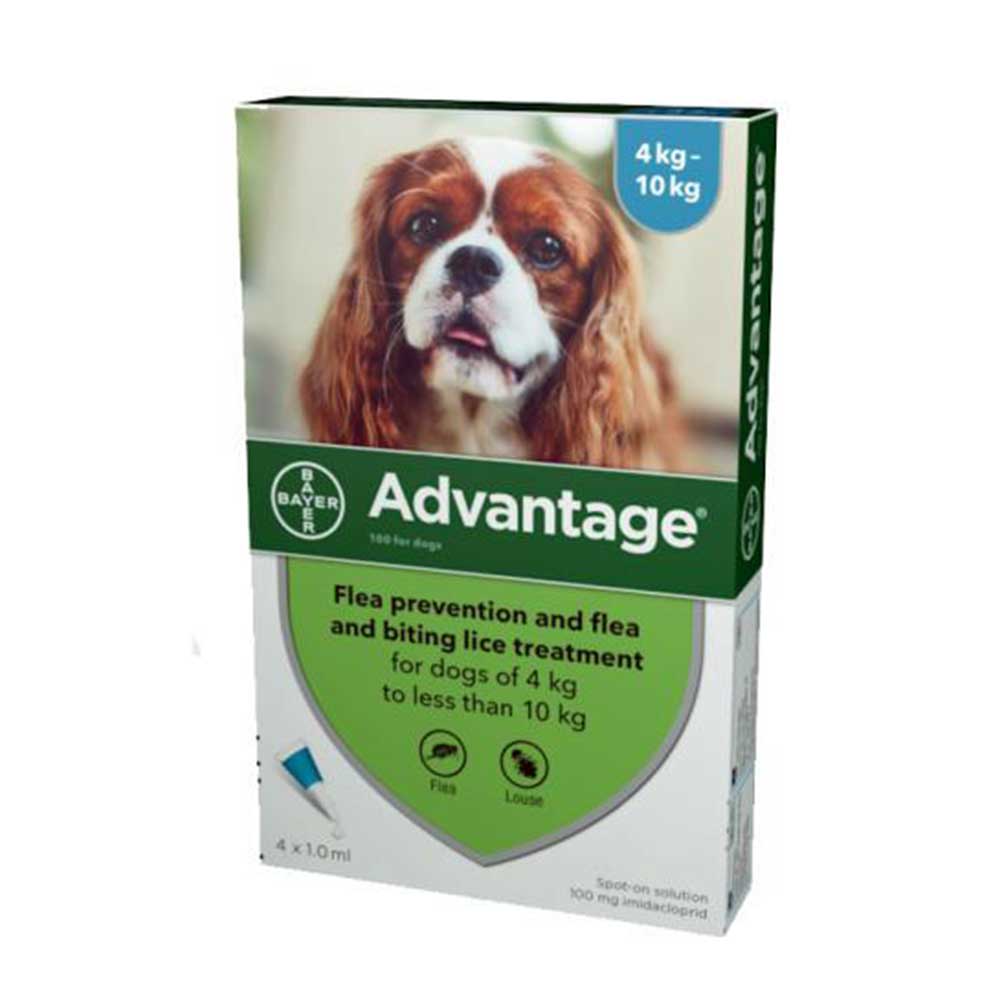 Advantage Aqua Medium Dog 4-10Kg 12Pk