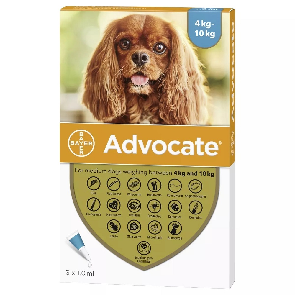 Advocate 6 Pack for Dogs