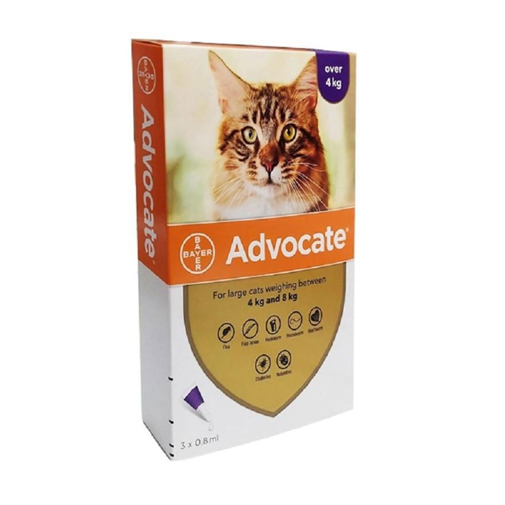 Advocate Large Cat Over 4Kg 6(3x2) Pk