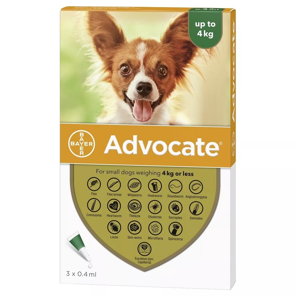 Advocate Small Dog Under 4 Kg 12 Pk