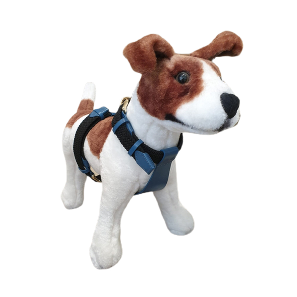 Petsochic Dog Harness-Y Blue L