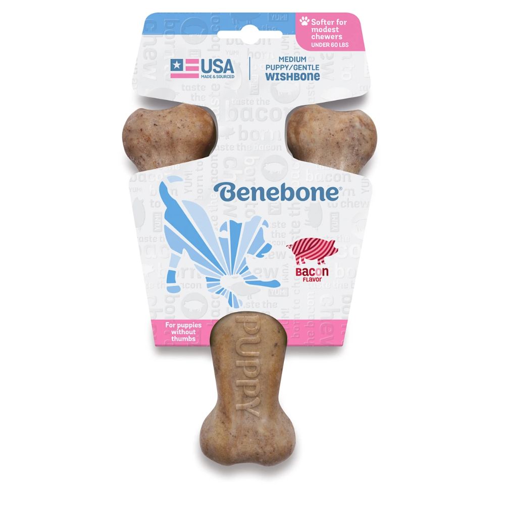 Benebone Puppy Wishbone Bacon Dog Toy M