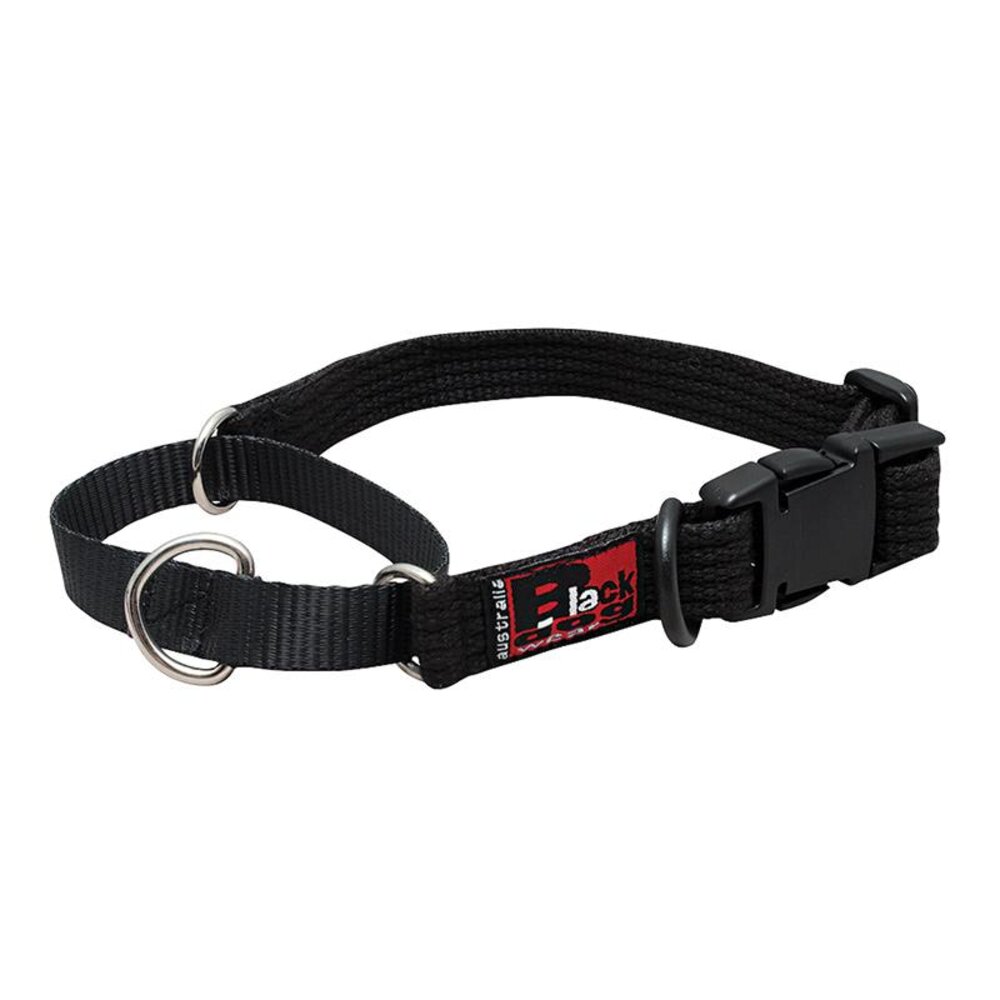 BlackDog Training Dog Collar L
