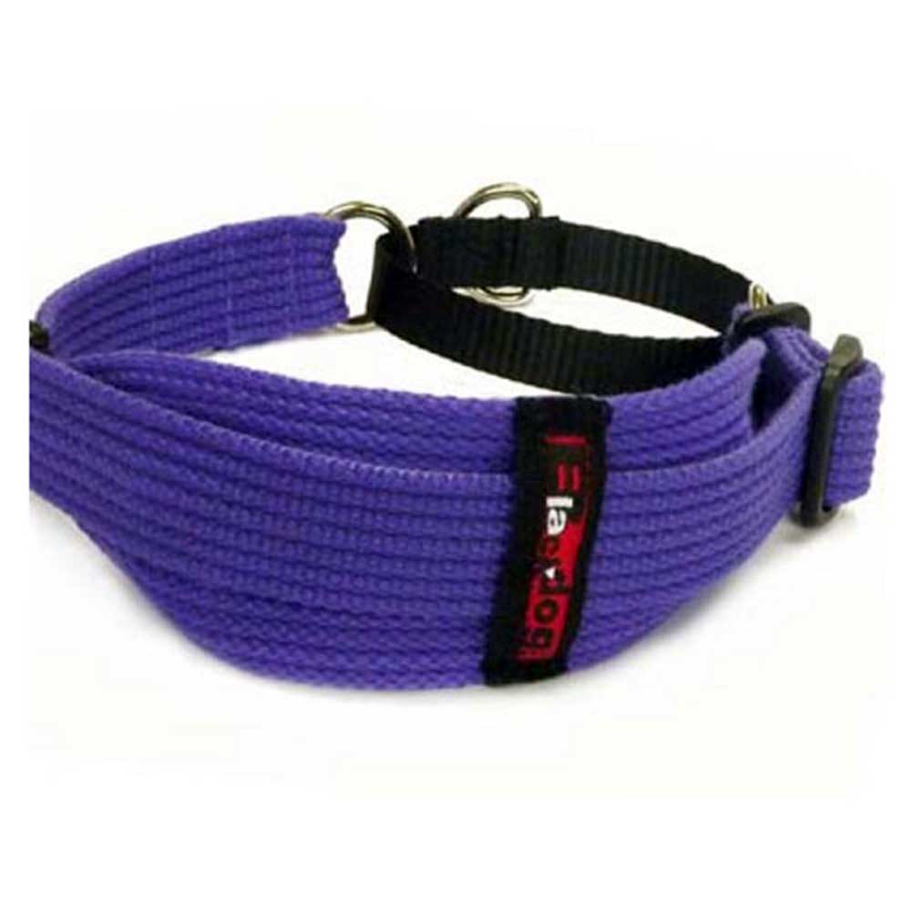 Prestige BlackDog Whippet Collar Purple