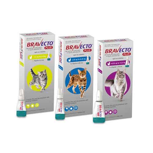 Bravecto Plus For Cats
