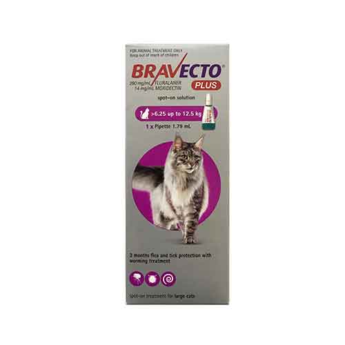 Bravecto Plus 500mg Large Cats 6.25-12.5