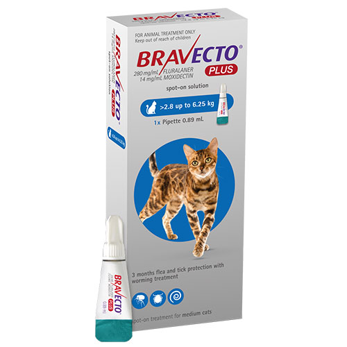 Bravecto Plus 250mg for Medium Cats