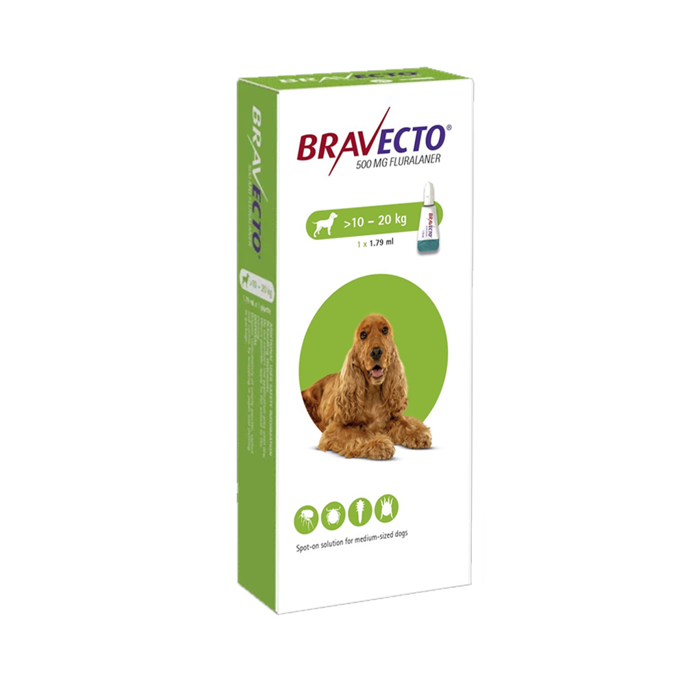 Bravecto Spot on Medium Dog 10-20kg
