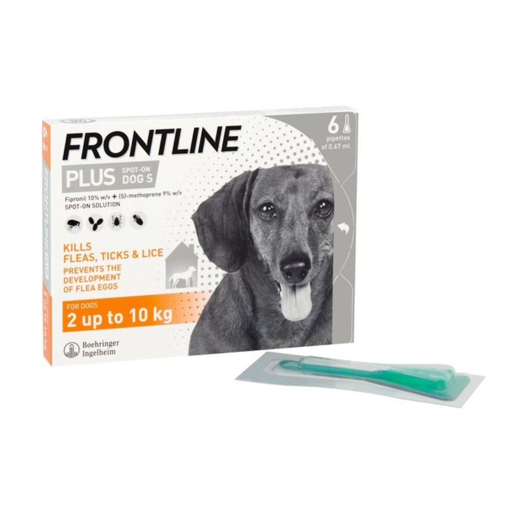 Frontline Plus Small Dog Below 10 Kg 6Pk