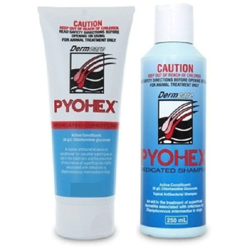 Dermcare Pyohex Starter Pack For Dogs