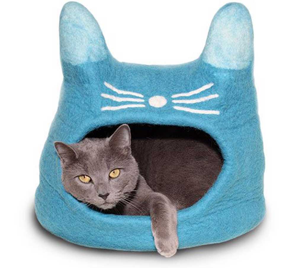 Turquoise Cat Face Cat Cave