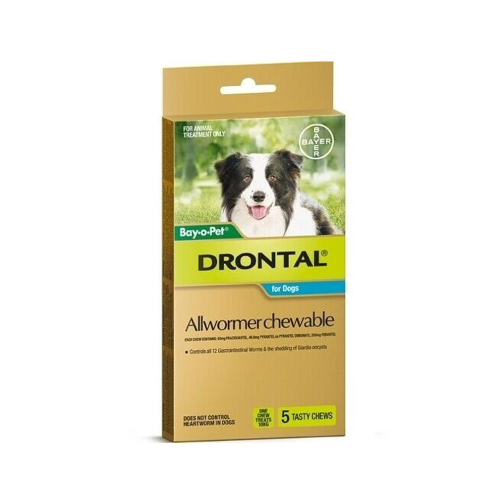 Drontal Chewable 10kg
