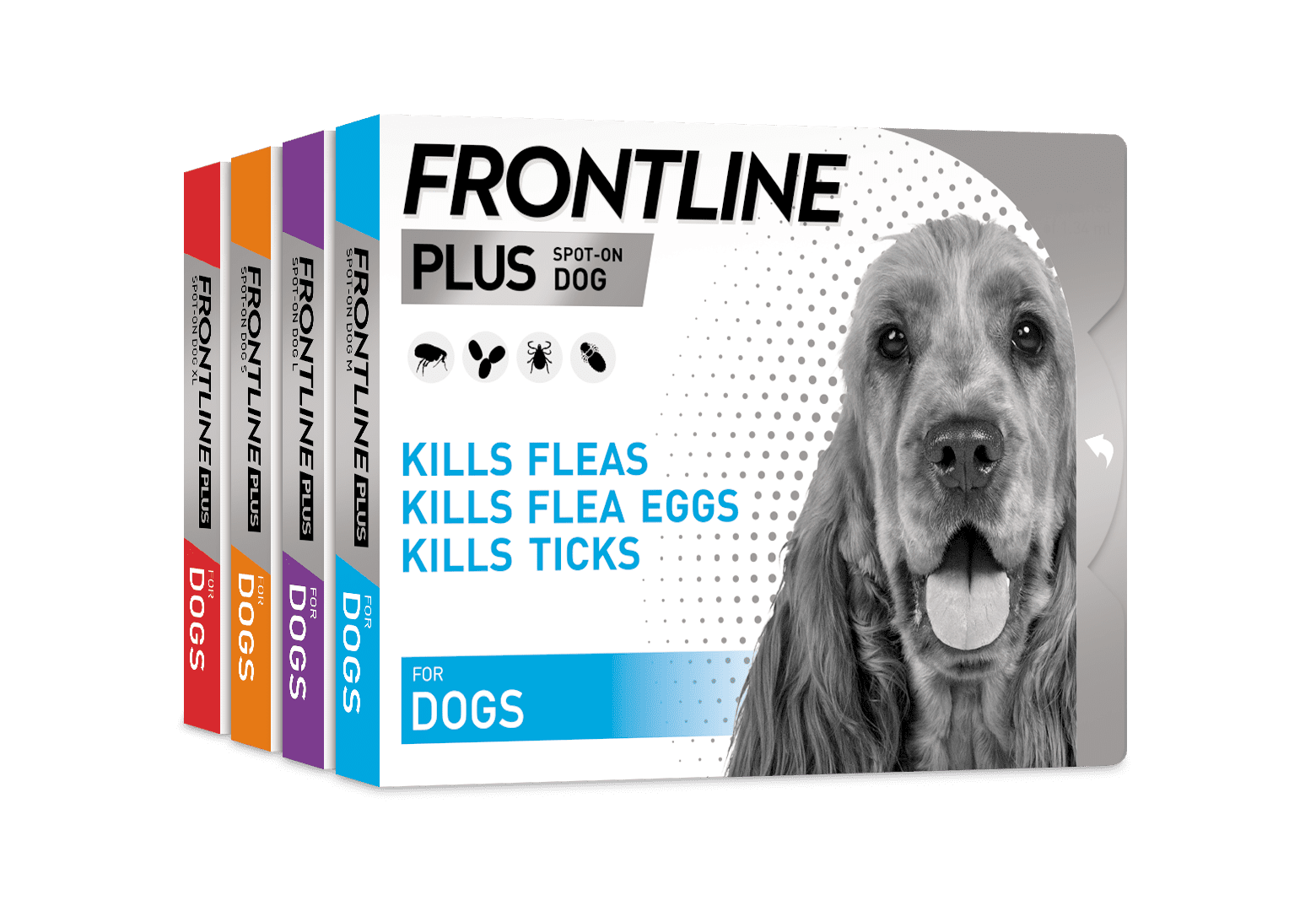 Frontline Plus 6 Pack Dog