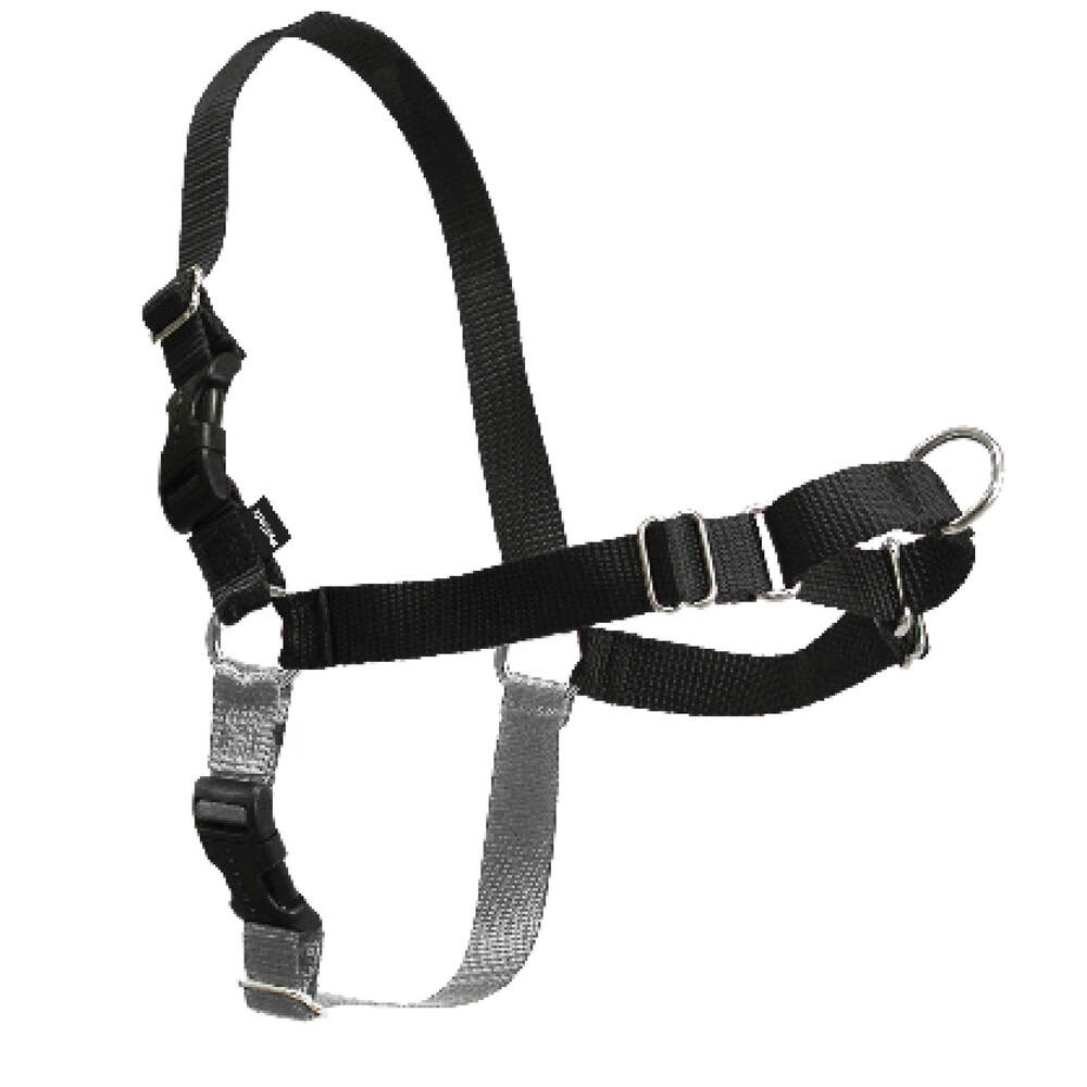 Gentle Leader Harness Black, Small