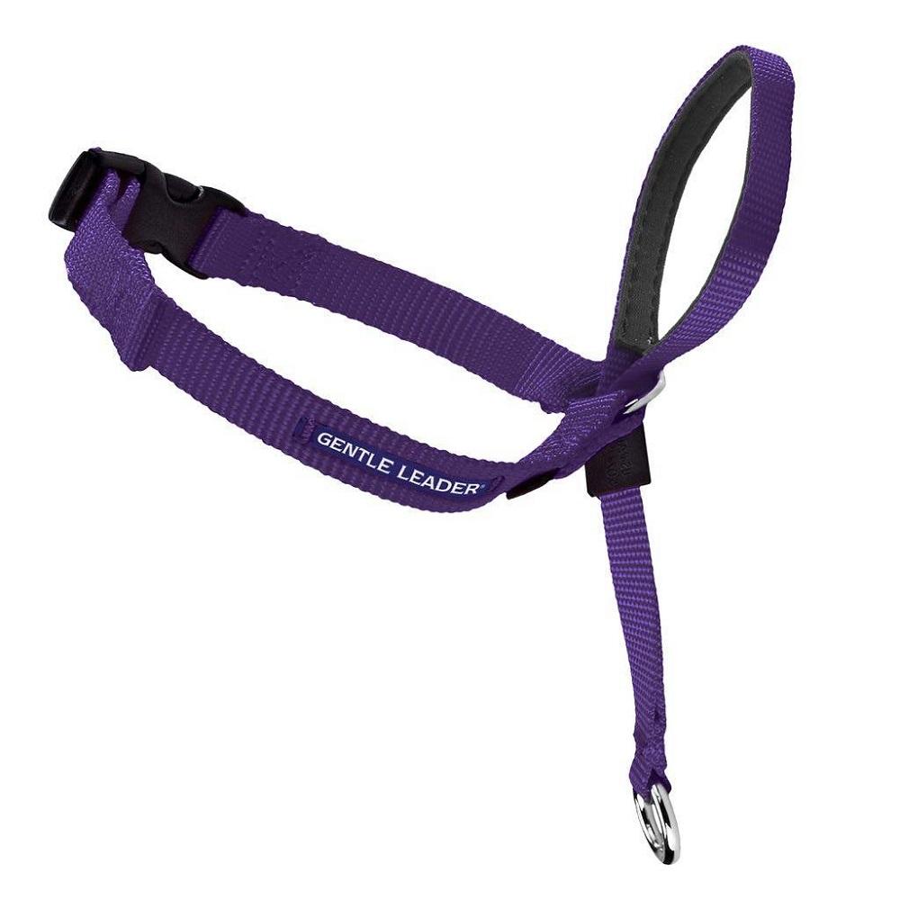 Gentle Leader Head Collar Purple Medium