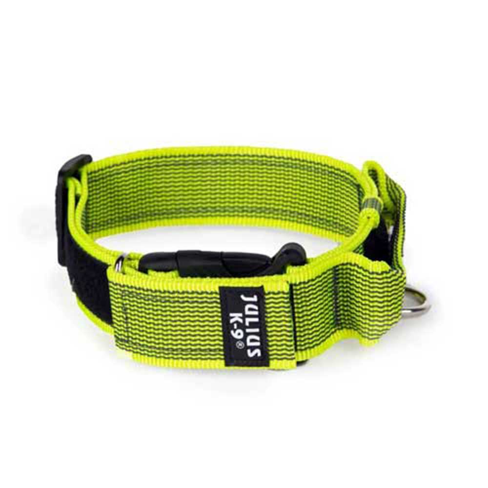 Julius-K9 Color-Grey Dog Collar Neon S