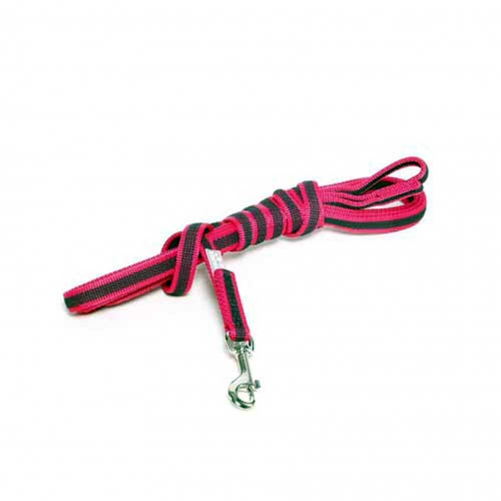ColorGrey SG Pink Leash w/Handle 5 m, S