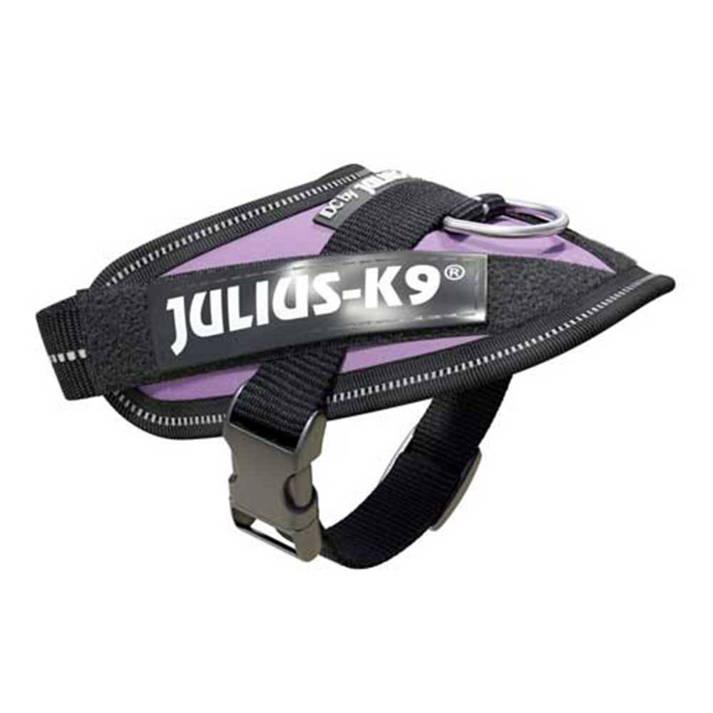 Julius-K9 IDC Powerharness Purple 1