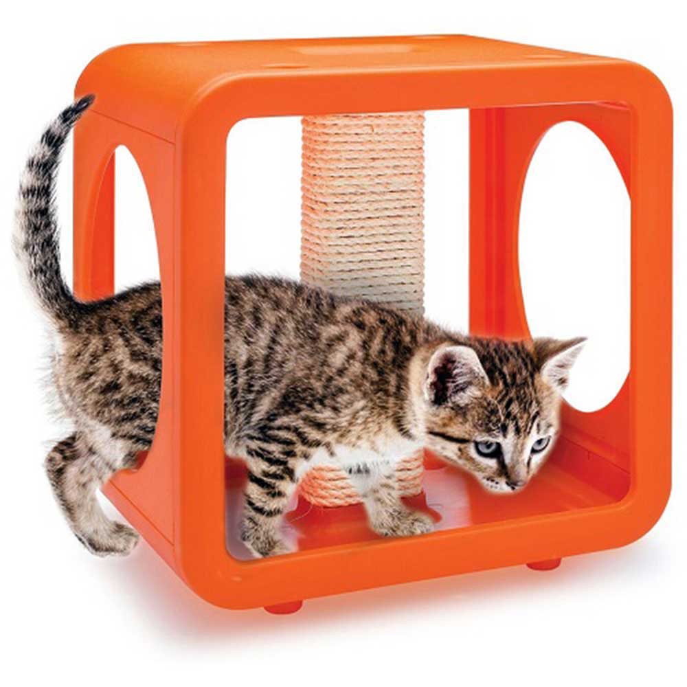 Kitty Kasas 2 Cube Cat Gym Orange