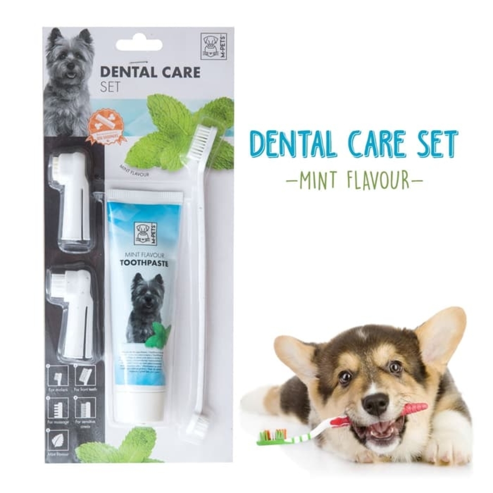 MPets Dental Care Set - Mint