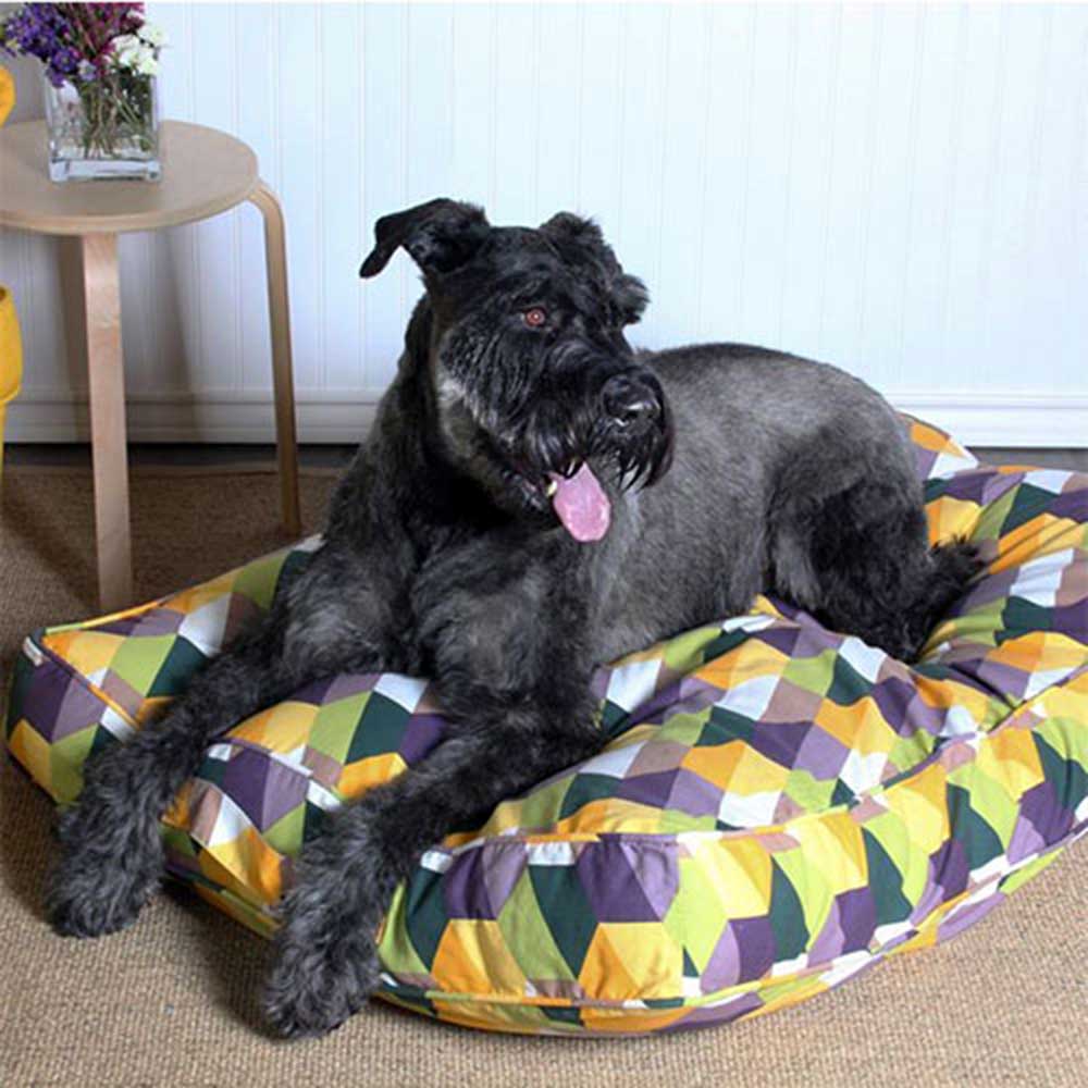 Molly Mutt Aurora Duvets for Dogs Small