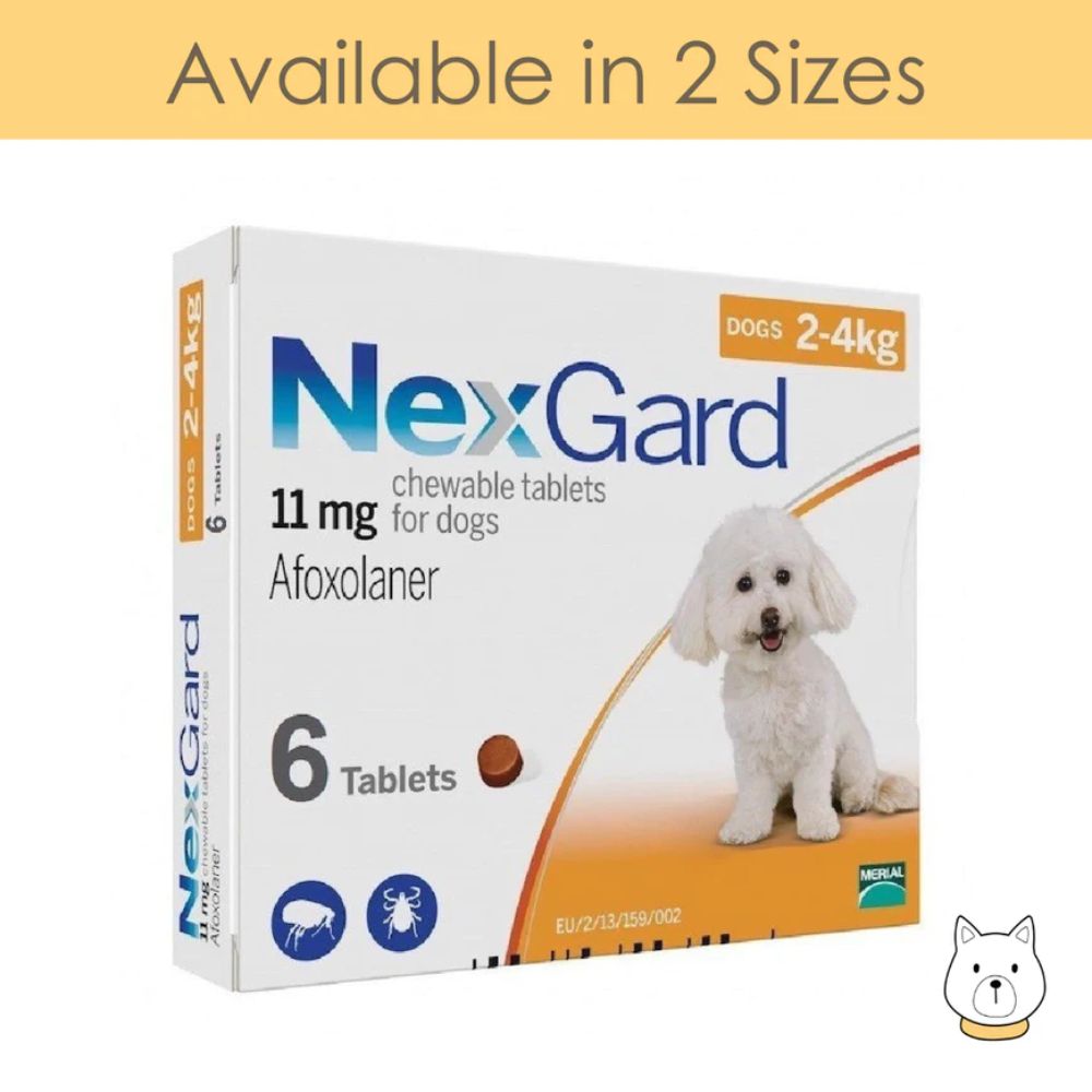 NexGard Chews V-Small Dog 2-4 Kg Orange 6 Pk