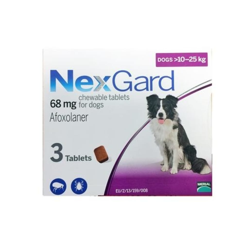 NexGard Chews Medium Dog 10-25 Kg Purple 3 Pk