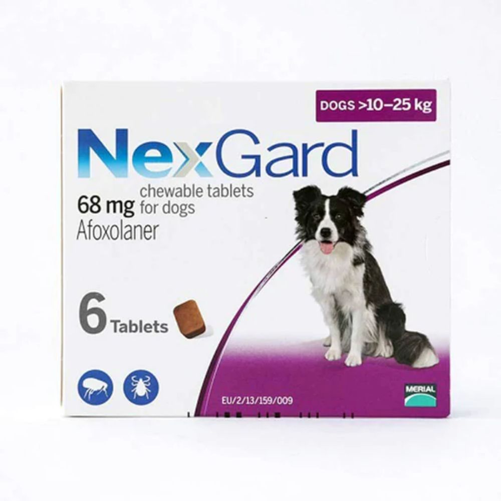 NexGard Chews Medium Dog 10-25 Kg Purple 6 Pk