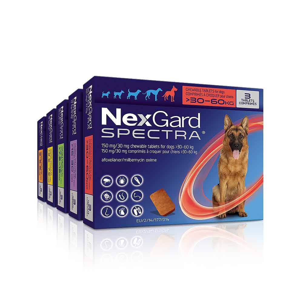 NexGard Spectra Chews For Dogs