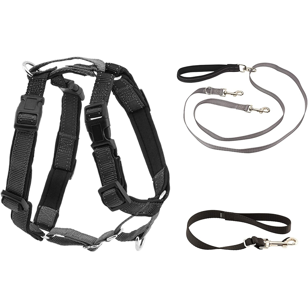 PetSafe 3IN1 Harness w 2 Leash Black M