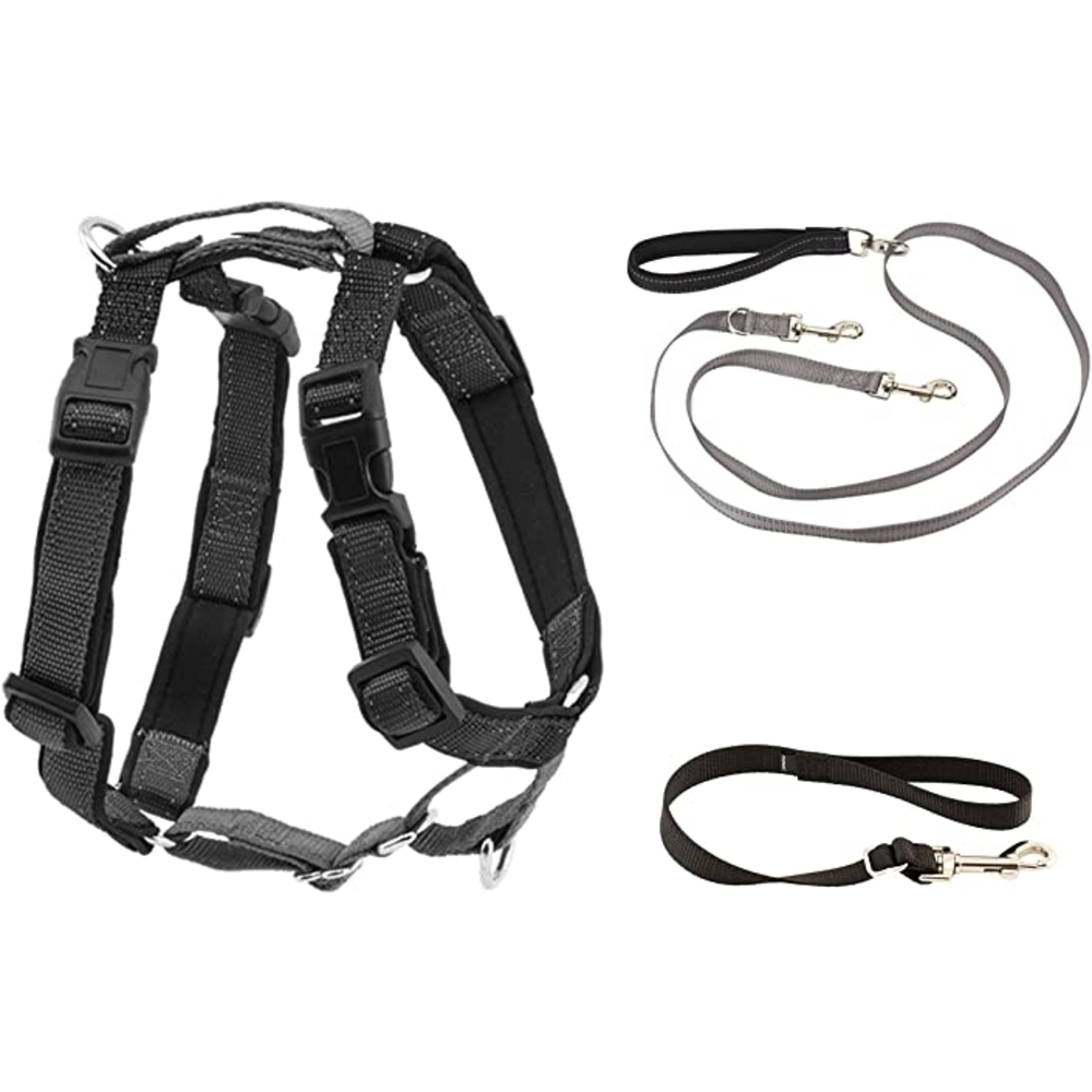 PetSafe 3IN1 Harness w 2 Leash