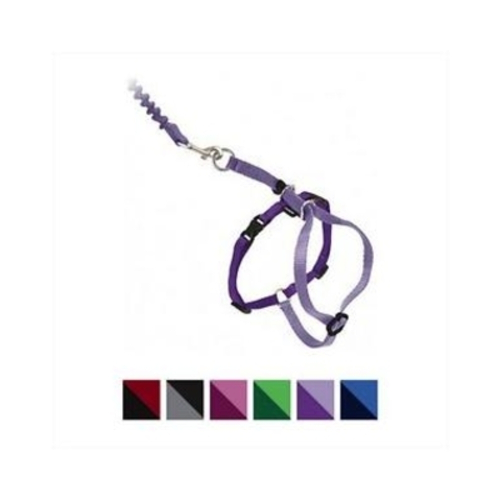PetSafe CWMK Harness & Leash Lilac L