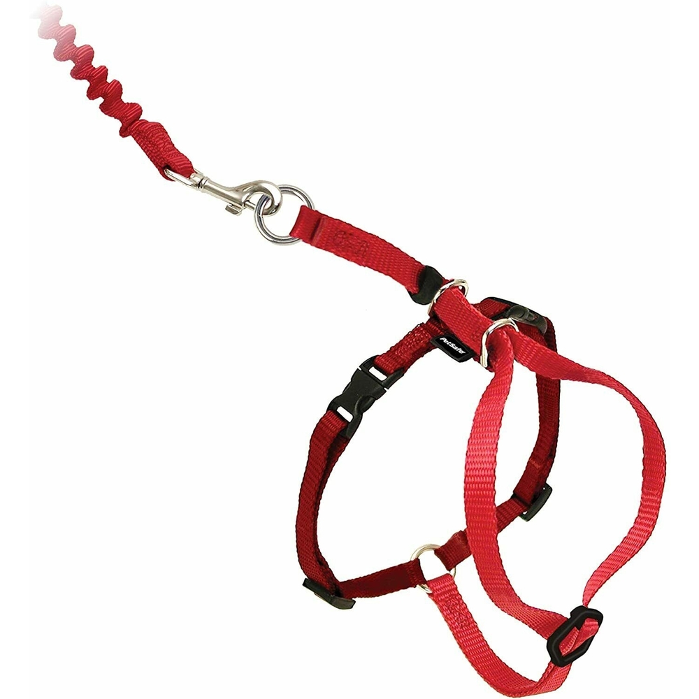 PetSafe CWMK Harness & Leash Red L