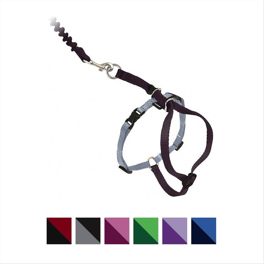 PetSafe CWMK Harness & Leash Black M