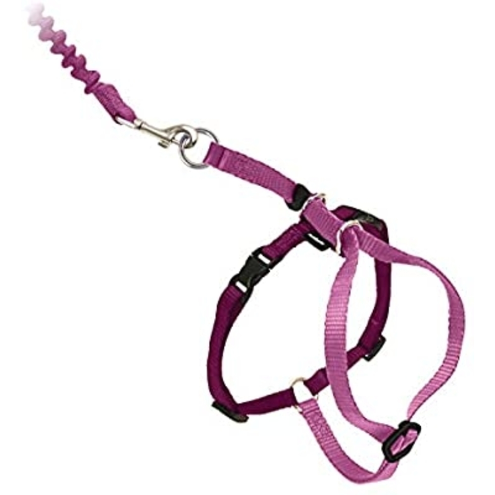 PetSafe CWMK Harness & Leash Lilac M