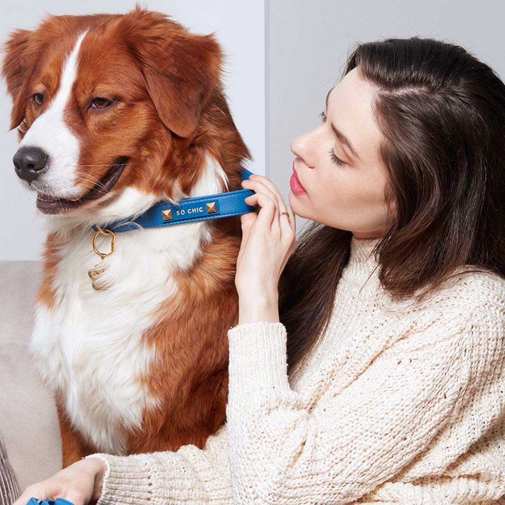 Petsochic Leather Dog Collar Blue S