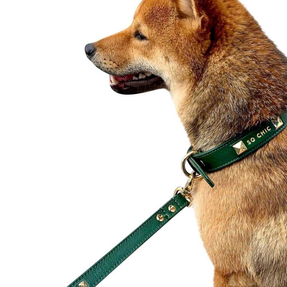 Petsochic Leather Dog Collar Green Large