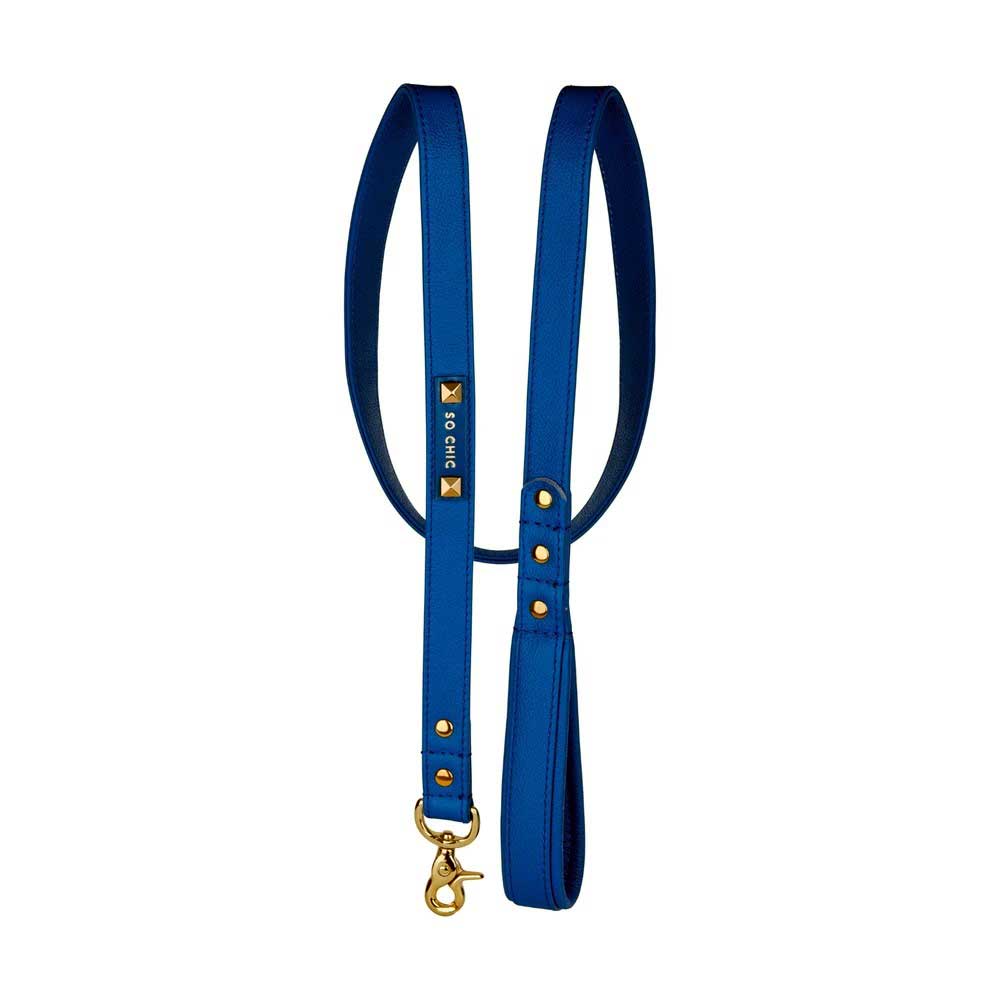 Petsochic Leather Dog Leash Blue Medium