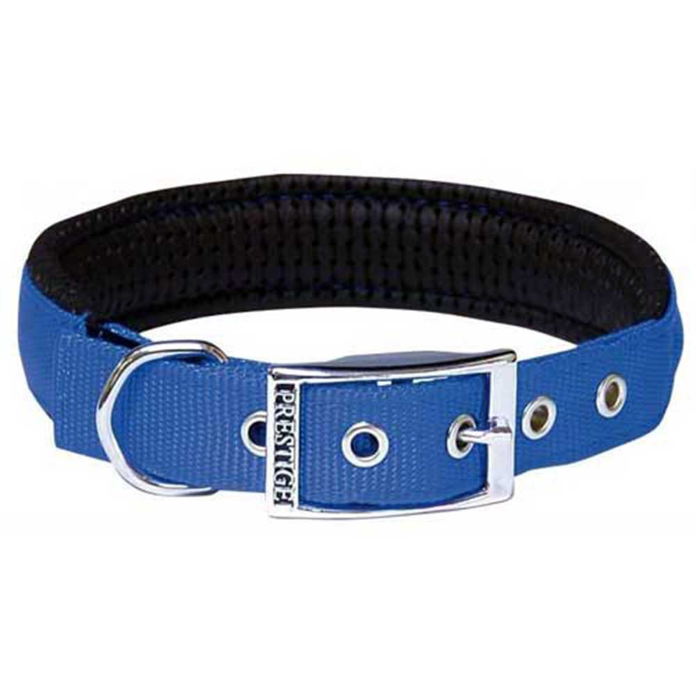 Prestige SP Collar 1" X 20" Blue (51Cm)