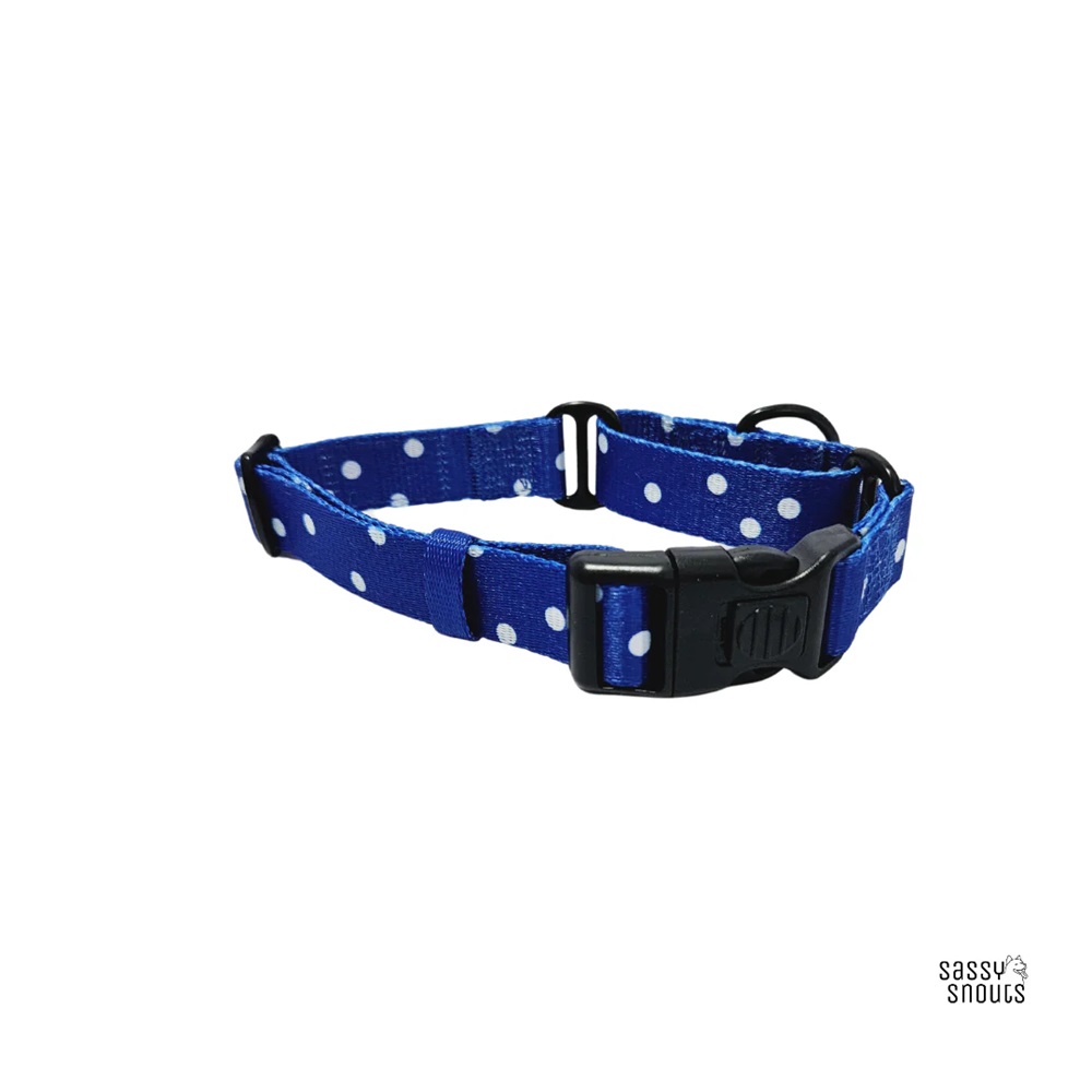 Sassy Snouts Classic Martingale Dog Collar in Whimsical Royal Gen 2.0 M 28 - 43 cm