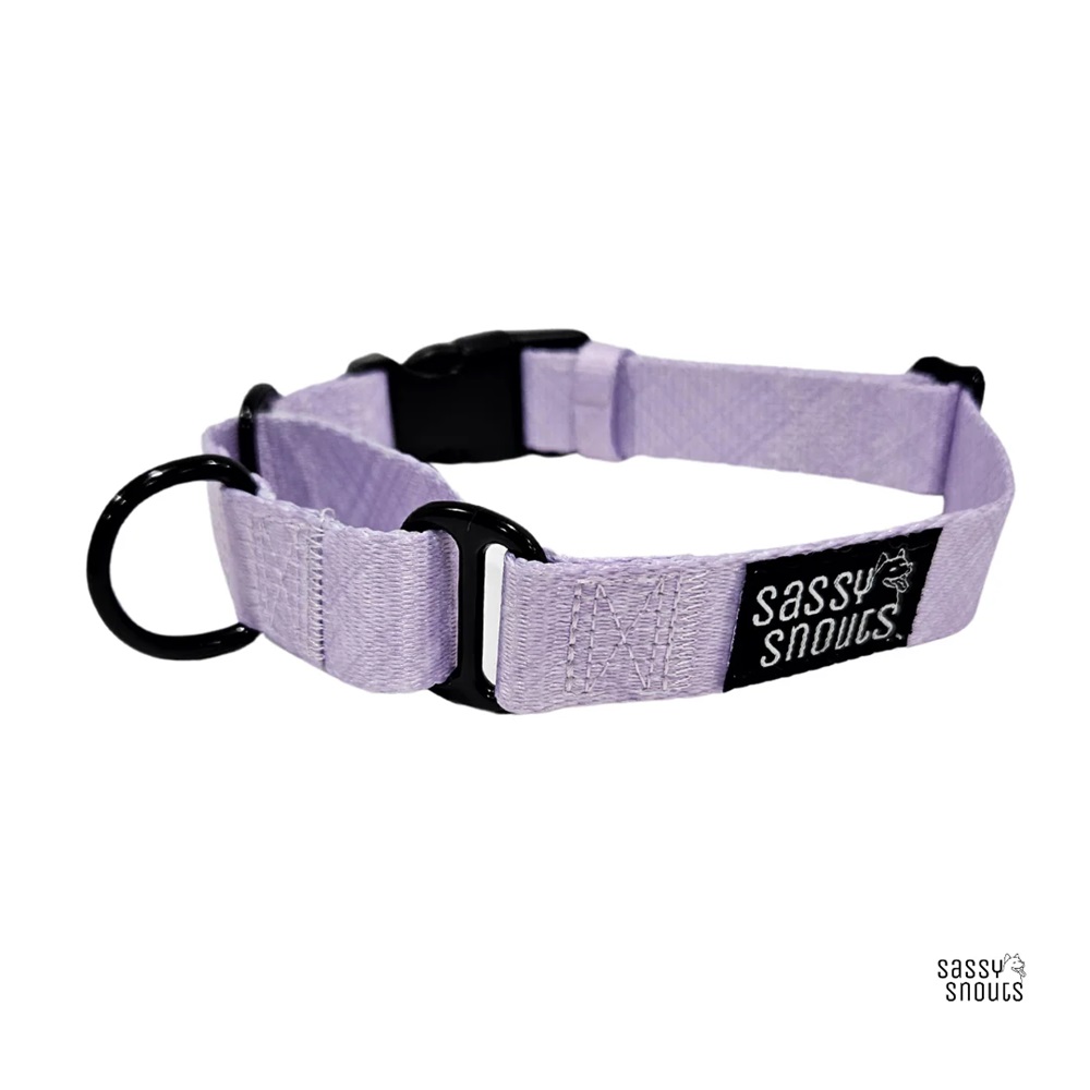 Sassy Snouts Classic Martingale Collar in Lilac (Gen 2.0) L 32 - 51 cm