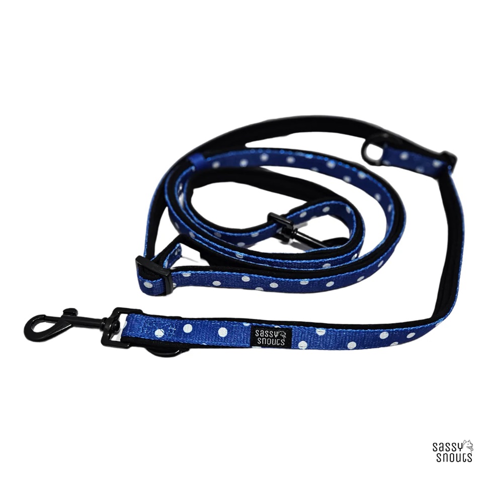 Sassy Snouts Classic Multi-way Padded Slim Dog Leash in Whimsical Royal Gen 2.0