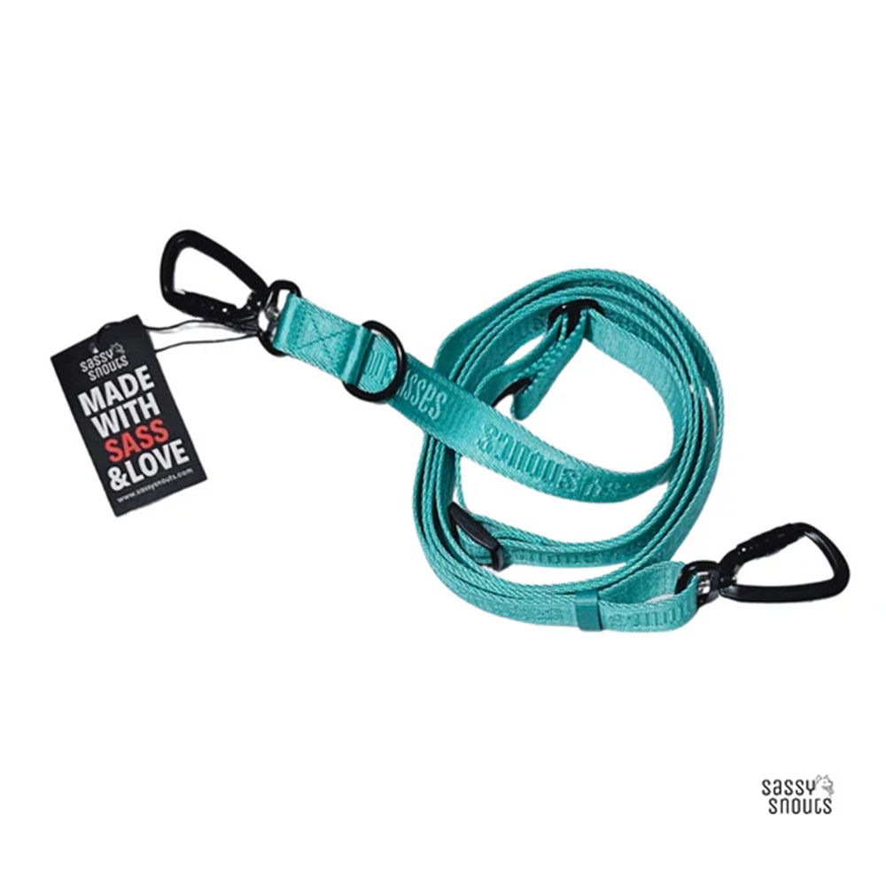 Sassy Snouts Signature Multi-way Leash in Turquoise (Gen 2.0)