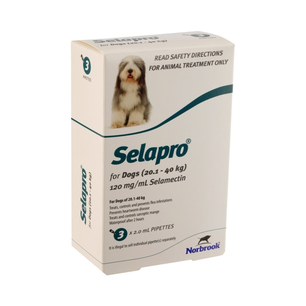 Selapro Spot On Large Dog 3pk