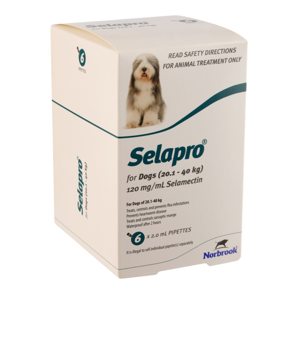 Selapro Spot On Large Dog 6pk