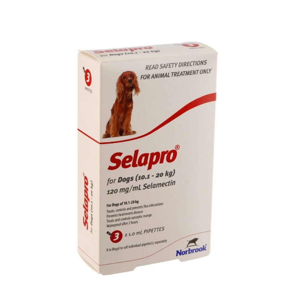 Selapro Spot On Medium Dog 3pk