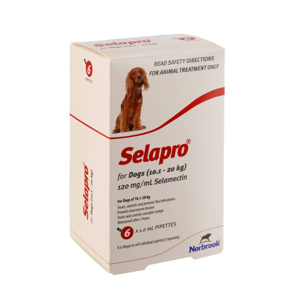 Selapro Spot On Medium Dog 12pk