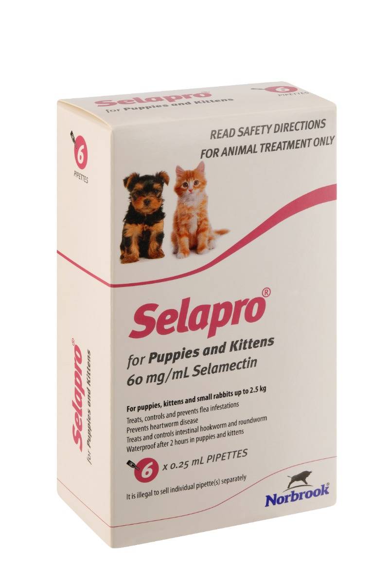 Selapro Spot On Puppy/Kitten 60mg - 12pk